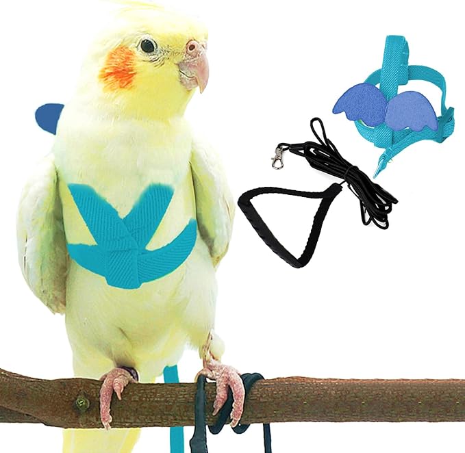 Dnoifne Pet Parrot Bird Harness and Leash, Adjustable Training Design Anti-Bite, Bird Nylon Rope with Cute Wing for Parrots, Suitable for Scarlet, Keck, Mini Macaw and Same Size Birds (Light Blue)