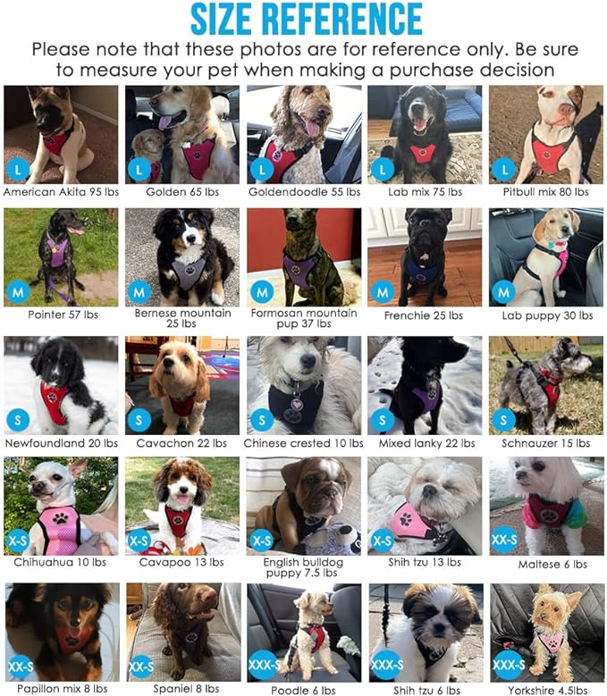 SlowTon Dog Seat Belt Harness for Car, Dog Car Harness Adjustable Mesh Breathable & Dog Seatbelt Safety Tether with Elastic Bungee for Small Medium Large Pets(Red, Double Clip, XXXS)