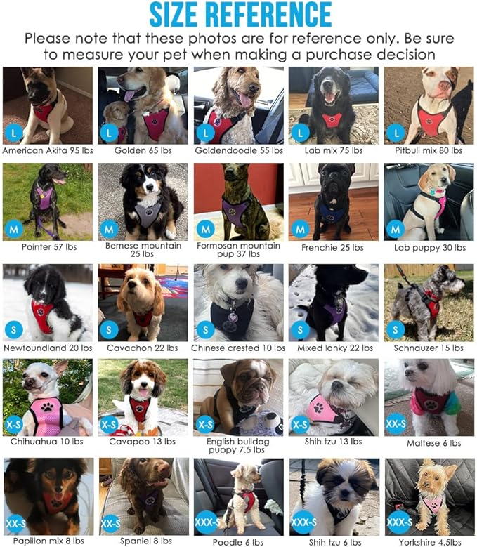 SlowTon Dog Seat Belt Harness for Car, Dog Car Harness Adjustable Mesh Breathable & Dog Seatbelt Safety Tether with Elastic Bungee for Small Medium Large Pets(Fuchsia, Double Clip, M)