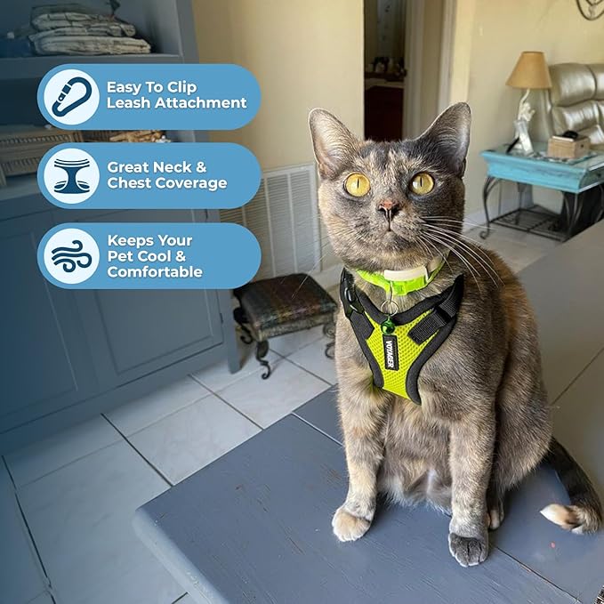 Voyager Step-in Lock Adjustable Cat Harness w. Cat Leash Combo Set with Neoprene Handle 5ft - Supports Small, Medium and Large Breed Cats by Best Pet Supplies - Lime Green/Black Trim, XXS