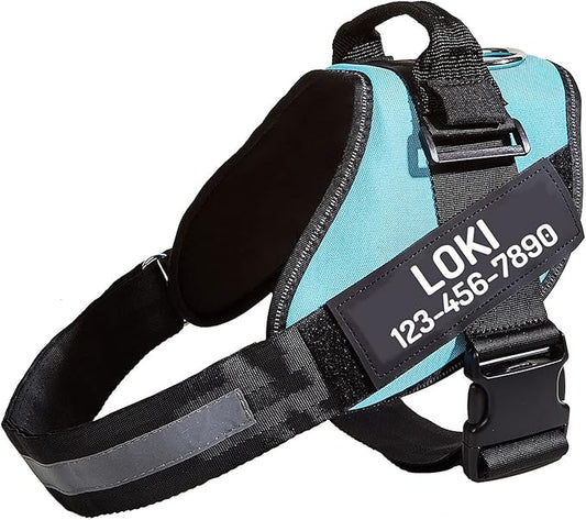PawPawify Custom No Pull Dog Harness with Name and Phone Number, Heavy Duty Personalized Pet Vest to Prevent Tugging, Pulling, or Choking, Training and Walking (Sky Blue, XS (Chest 14-17in))
