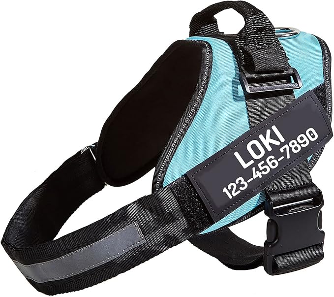 PawPawify Custom No Pull Dog Harness with Name and Phone Number, Heavy Duty Personalized Pet Vest to Prevent Tugging, Pulling, or Choking, Training and Walking (Sky Blue, M (Chest 20-24in))