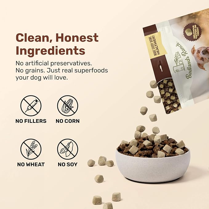 Superfood Nuggets- Premium, Freeze-Dried raw Dog Food Topper or Treat. Powerful Nutrient-Dense Ingredients. No Artificial additives. Duck and Kale Formula 8oz - 4pk Bundle