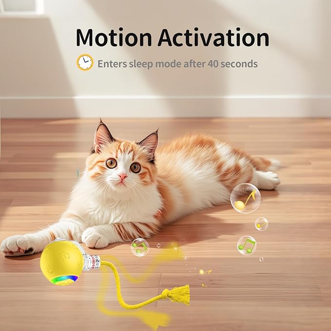 Interactive cat Toys for Bored Indoor Adult Cats. Motion Activated, RGB Lighting, 3 Motion Modes. Kitten Toys for Indoor Cats self Play