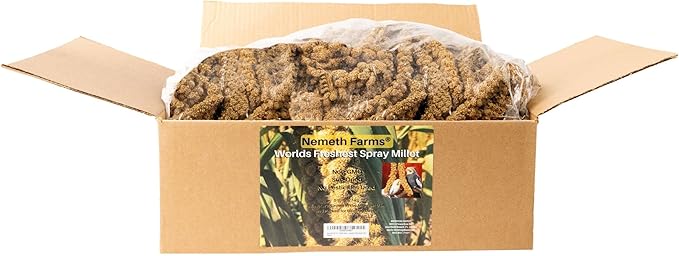 Nemeth Farms Worlds Freshest GMO-Free, Sun Dried Spray Millet No Stems Only Edible - Tops-Original Bird Treat and Supplement for Pet Birds Parakeets, Cockatiels, Lovebirds and Finches - 5lbs