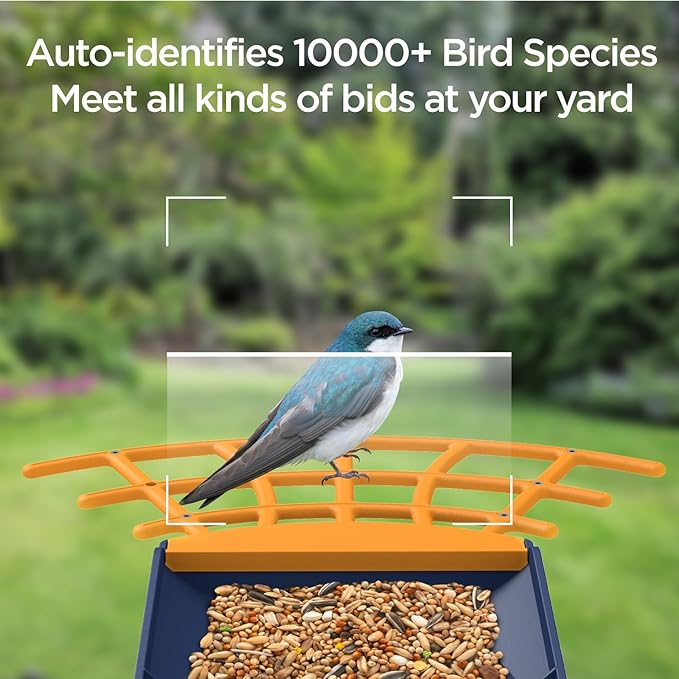Birdkiss Smart Bird Feeder with Camera, Birds Watching Camera, Auto Capture Birds Videos & Motion Detection, AI Identify Species, Wireless Bird Feeders for Outdoors, Ideal Present for Mom