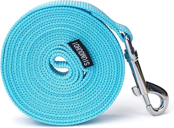 Strong Durable Nylon Dog Training Leash, 1 Inch Wide Traction Rope, 6 ft 10ft 15ft Long, for Small and Medium Dog (Mint Blue, 15 Feet)