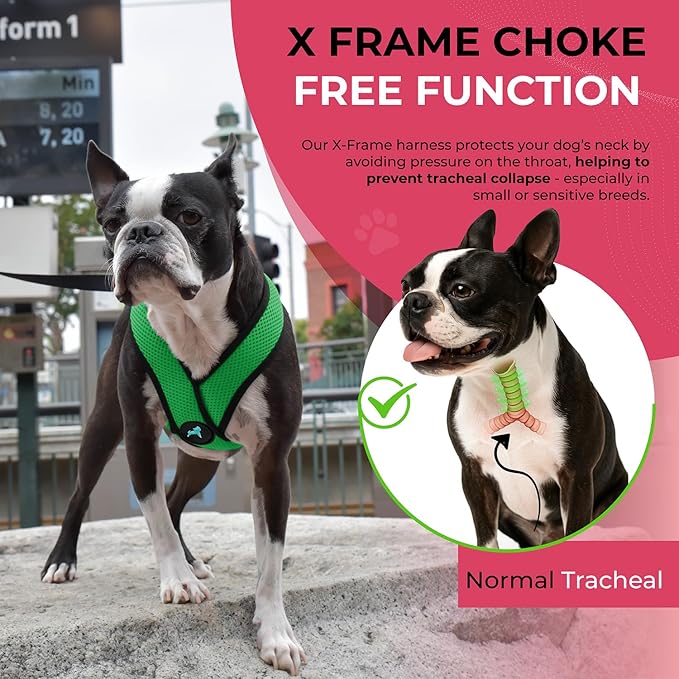 Gooby Comfort X Head in Harness - Hunter Green, Large - No Pull Small Dog Harness Patented Choke-Free X Frame - On The Go Dog Harness for Medium Dogs No Pull or Small Dogs for Indoor and Outdoor Use