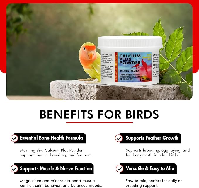 Morning Bird Calcium Plus Powder for Birds 6 oz – Calcium Carbonate Powder with Magnesium Glycinate & Vitamin D – Bone Strength & Immune Support Supplement – Calcium Formula for All Bird Sizes