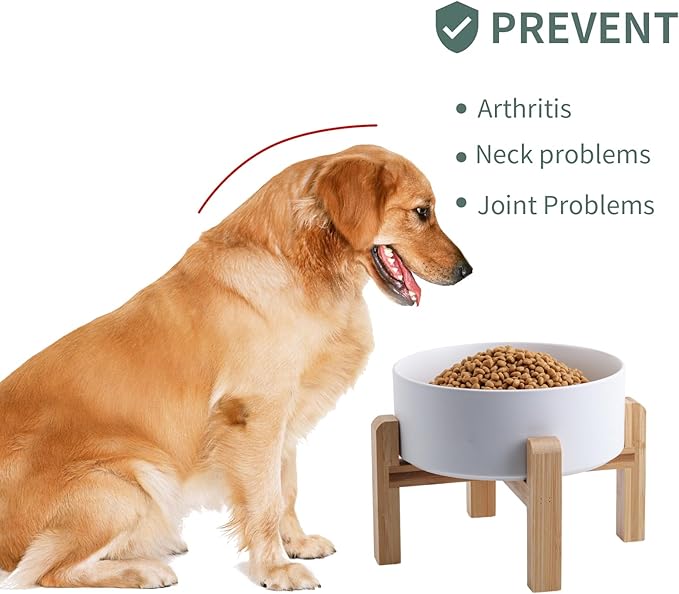 White Elevated/Raised Dog Bowl Ceramic for Small Medium Sized Breed,Dog Food Water Bowl with Stand,6 in 3.6 Cups Non Slip Heavy Weighted