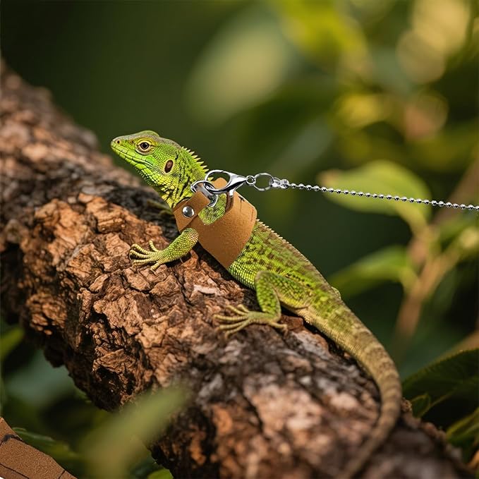 3 Pack Bearded Dragon Harness and Leash [3 Sizes] Adjustable Soft Leather Lizard Harness w/Retractable Leash Small Animal Traction Rope Walking Vest Accessories for Lizards Reptiles Squirrel Rat