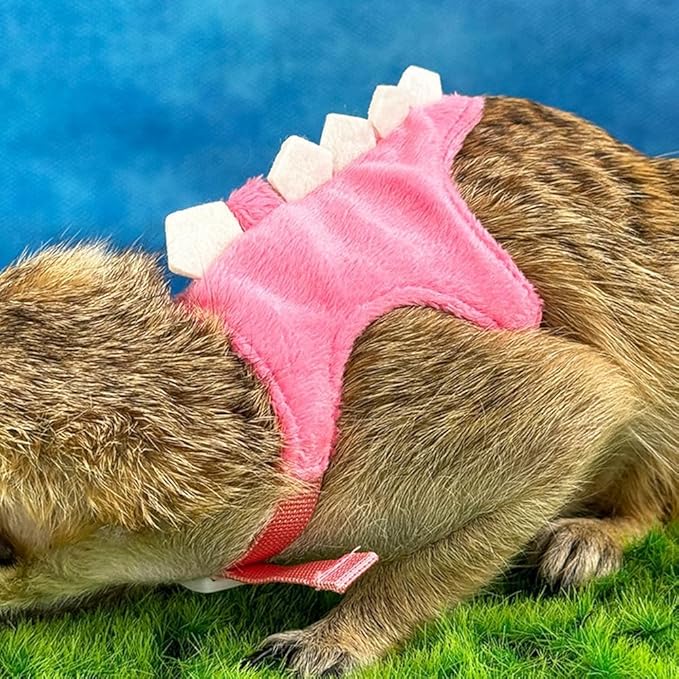 Ferret Harness and Leash Set Small Animals Vest Harness with Safe Bell Dinosaur Shaped Walking Clothes for Baby Rabbit Guinea Pig Teacup Chihuahua Mouse and Other Small pet (Pink)