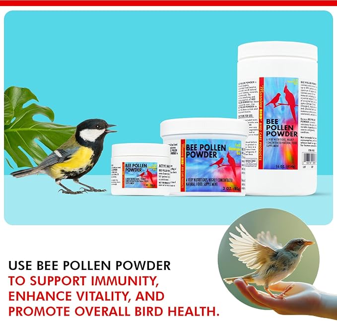 Morning Bird Bee Pollen Powder for Birds 1 Oz – Complete Nutrition with Protein, Amino Acids & Immune Support – Bird Vitamin & Mineral Supplement for Daily Health & Wellness