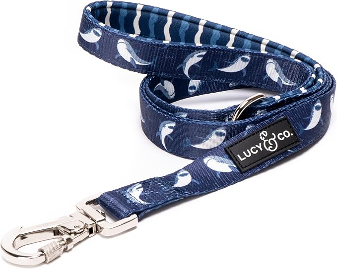 Lucy & Co. 5 Foot Designer Dog Leash - Best for Big, Small, or Medium Dogs - Puppy Leash - Shark Attack Pattern