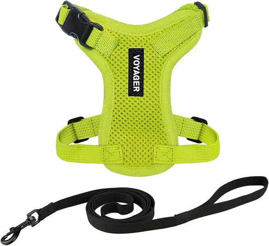 Voyager Step-in Lock Adjustable Cat Harness w. Cat Leash Combo Set with Neoprene Handle 5ft - Supports Small, Medium and Large Breed Cats by Best Pet Supplies - Lime Green, XXS