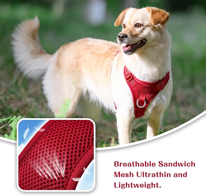 No Pull Dog Harness for Small Medium Large Dogs - Adjustable Two-Layer Mesh Dog Vest with Dual Clip, Escape Proof, Quick Release, Lightweight Breathable Mesh for Walking Hiking (Burgundy Red,S)