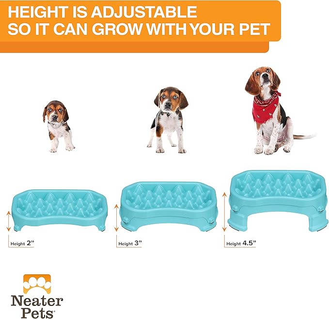 Neater Pet Brands – Neater Raised Slow Feeder Dog Bowl – Elevated and Adjustable Food Height - (2.5 Cup, Aquamarine)