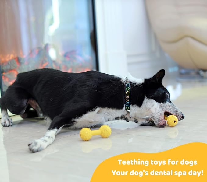 Pup's Pick Dog Chew Toy with Bell - Squeaky Chew Toys for Aggressive Chewers, Natural Rubber Puppy Chew Toys for Teething, Medium and Small Breeds Indestructible Dog Toy, Teething Toys for Puppies