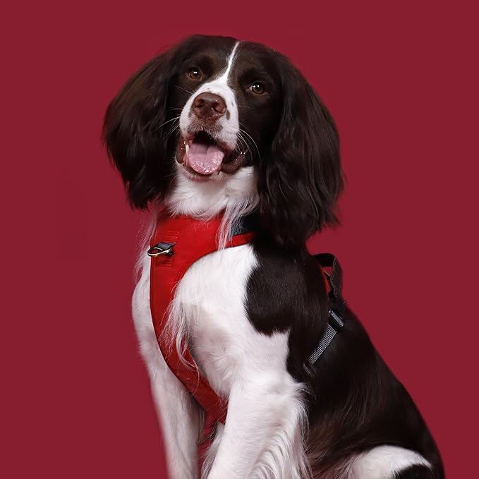 No Pull Dog Harness Small Sized Dog,Stylish PU Leather Vest with Easy Control Handle,No Choke Front Clip with 2 Metal Leash Clips,Reflective & Adjustable for Walking,Red,Chest 19-24"