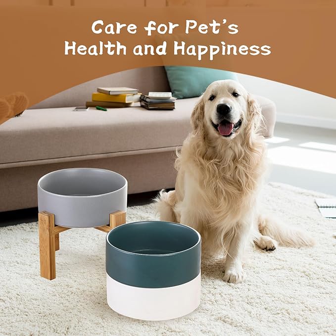 Raised Ceramic Large Dog Bowl - Heavy Weighted Dog Dish with Bamboo Stand - Elevated for Comfortable Feeding - 8.3" W x 8" H - 4.5 Cups (68 fl oz) - Grey