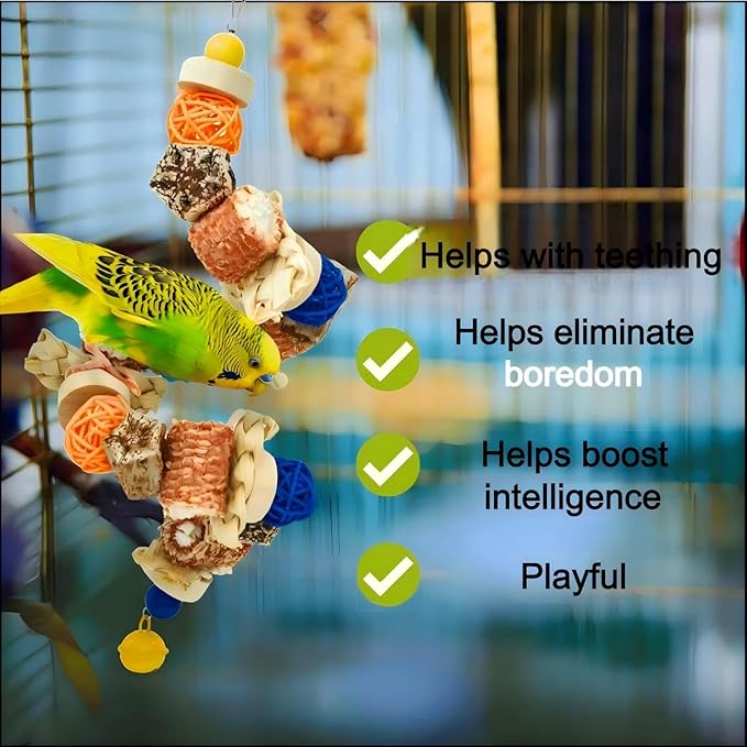 Parakeet Swing Toys,Bird Cage Hanging Chewing Toys,Natural Bird Parrot Toys for Budgerigar Conure Cockatiel Lovebirds Finches