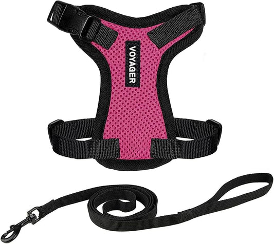 Voyager Step-in Lock Adjustable Cat Harness w. Cat Leash Combo Set with Neoprene Handle 5ft - Supports Small, Medium and Large Breed Cats by Best Pet Supplies - Fuchsia/Black Trim, XXXS