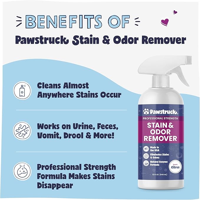 Pawstruck Professional Strength Pet Stain & Odor Remover - Natural Enzyme Cleaning Solution for Dogs & Cats - Safe and Effective Smell Eliminator - 32 oz - Packaging May Vary