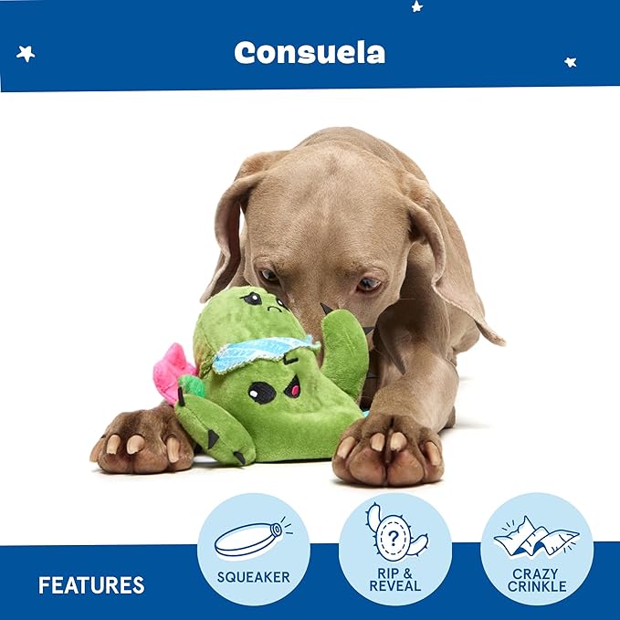 Barkbox 2 in 1 Interactive Plush Dog Toy - Rip and Reveal Toy for Dogs and Puppies - Stimulating Squeaky Pet Toys | Consuela Cactus (Large)