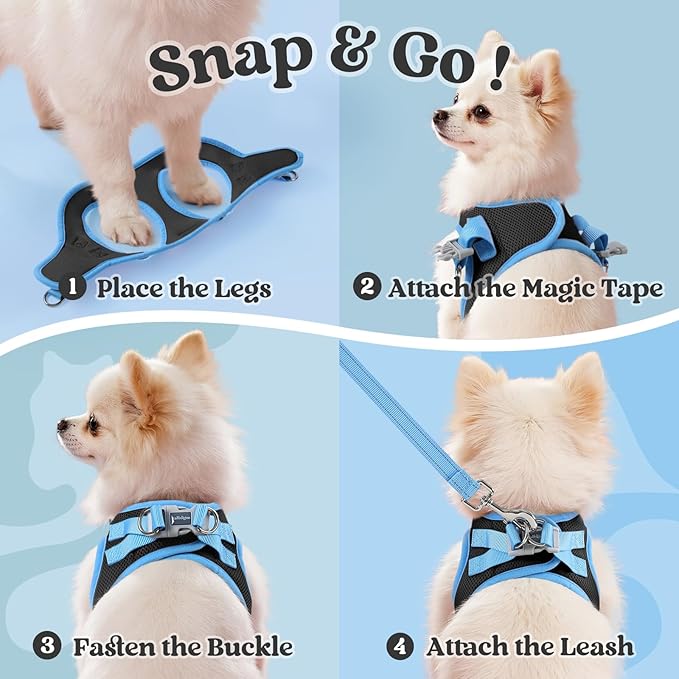 rabbitgoo Dog Harness Small Sized and Leash Set, Step-in Breathable Pet Harness, Soft Walking Reflective Puppy Vest for Small Dogs, Black & Light Blue, L
