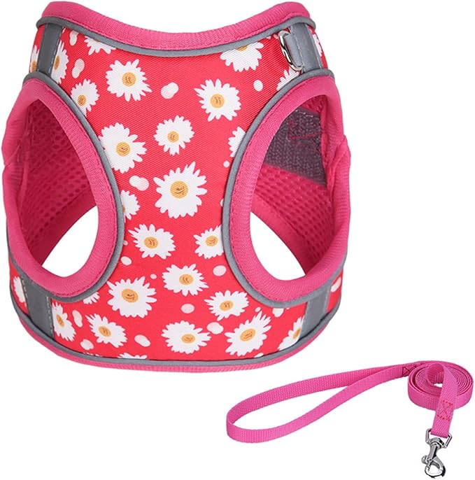 Step in Dog Harness No Pull Flower Adjustable Soft Mesh Padded Reflective Pet Vest Harness and Leash Set for Small Medium Dogs