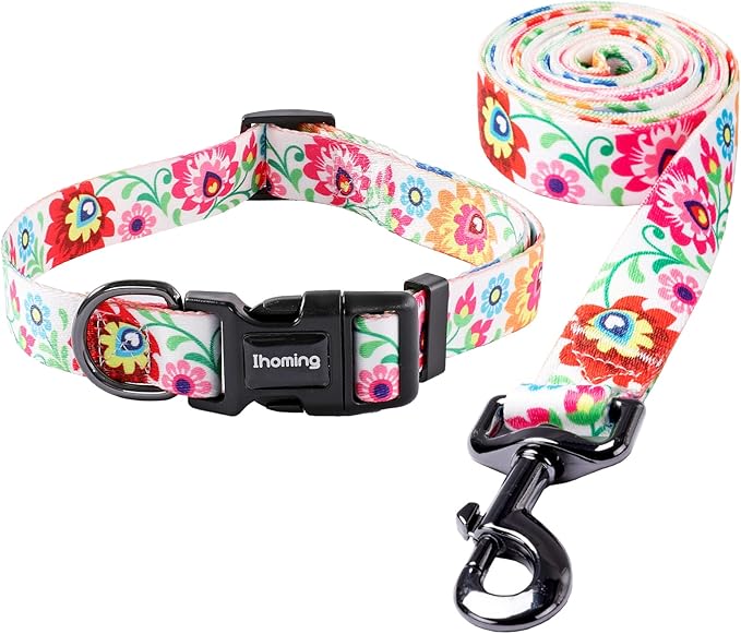 Ihoming Puppy Collar and Leash Set for Daily Outdoor Walking Running Training, White Colorful Flowers Design for Extra Small Boys Girls Dogs Cats Pets, XS-Up to 10LBS