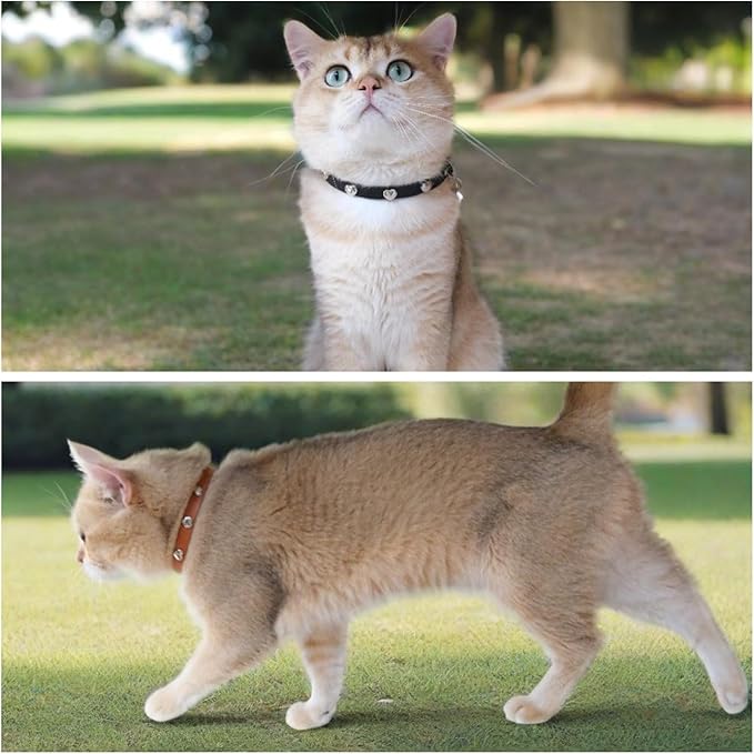 Spiked Cat Collar with Bells, Breakaway Genuine Leather Protective Collar for Kitty, Studs Spikes Punk Style, Heart Pattern, Adjustable for Girl Boy Kittens Small Bunny Rabbit, 10"-12" Black