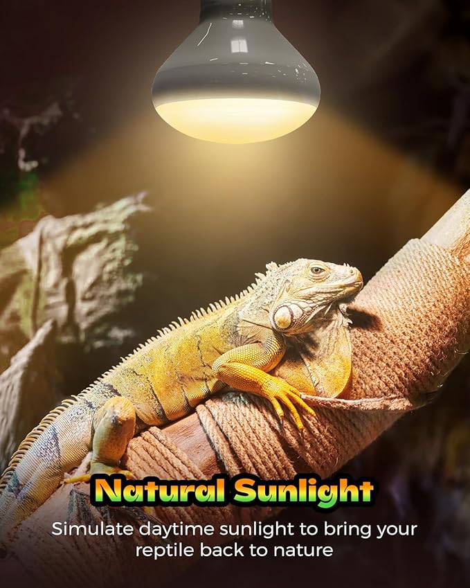 Reptile Heat Lamp, Simulate Natural Sunlight Heat Light Bulbs 2 Pack 50W Amphibians Basking Heat Lamp Bulbs for Reptiles, Bearded Dragon, Lizard, Turtle, Chicken