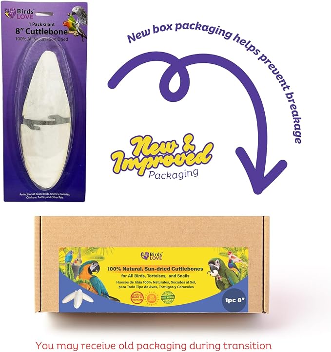 Birds LOVE Natural Cuttlebone for Birds & Reptiles – 100% Pure Sun-Dried Calcium Supplement – Supports Beak, Bone & Shell Strength – Safe Daily Use - 1 Pack with Holder, Size 7.5 to 8"