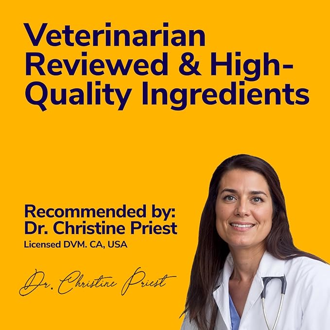 Medicated Dog Shampoo for Itchy Skin Relief - Yeast Infection Treatment for Dogs & Dog Allergy Relief Hot Spot Treatment - Hydrocortisone Antifungal Shampoo (16 oz)