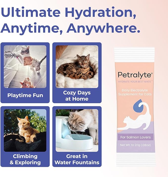 Petralyte Cat Hydration Electrolyte and Cat Joint Supplement | Hydration Support for Cats w/Glucosamine, Chondroitin, L-Glutamine, Taurine, Lysine & Prebiotics | for Salmon Lovers | 32 Packets
