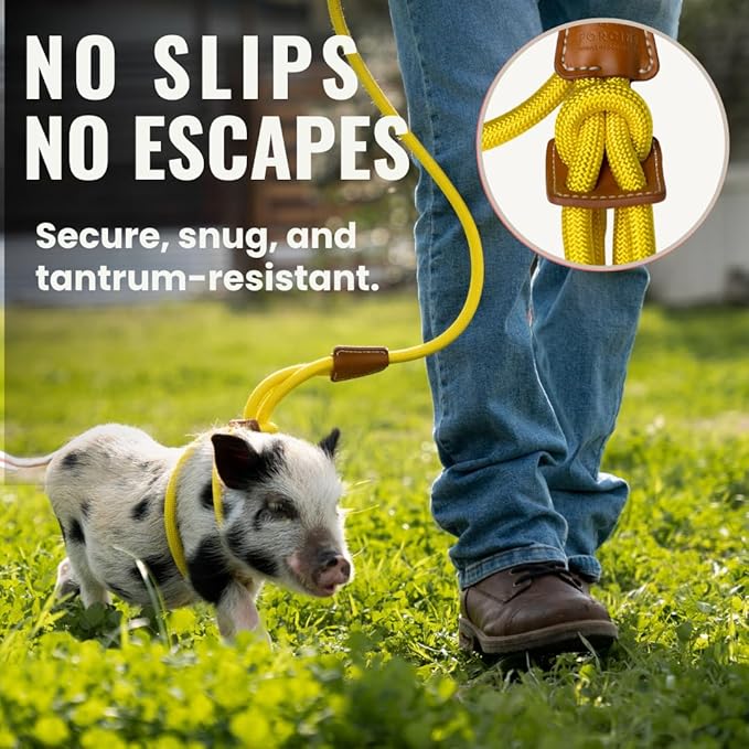 PORCINE® Mini Pig Harness & Leash – Fully Adjustable Step-in Harness with Infinity-Style Lead - Ideal for Small & Medium Potbelly Pigs – Durable, Comfortable, Easy-On Easy-Off (Small Eggshell Blue)