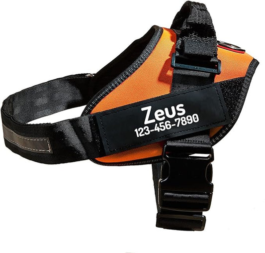 PawPawify Custom No Pull Dog Harness with Name and Phone Number, Heavy Duty Personalized Pet Vest to Prevent Tugging, Pulling, or Choking, Training and Walking (Orange, M (Chest 20-24in))