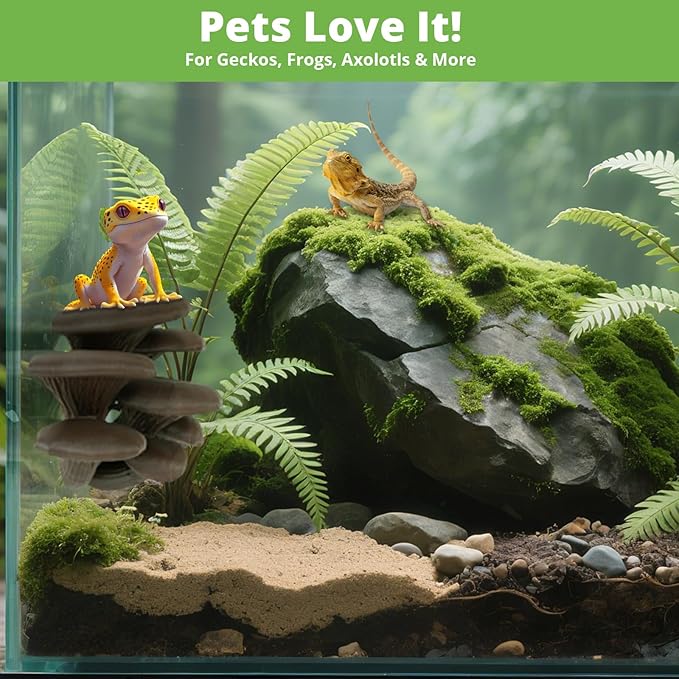 Mushroom Decor for Reptile Tank, Fish Tank, Pet-Safe Bearded Dragon Tank Accessories, Realistic Terrarium Plants for Leopard Geckos, Crested Geckos, Tree Frogs, Snakes (Cocoa, Cluster Cap)