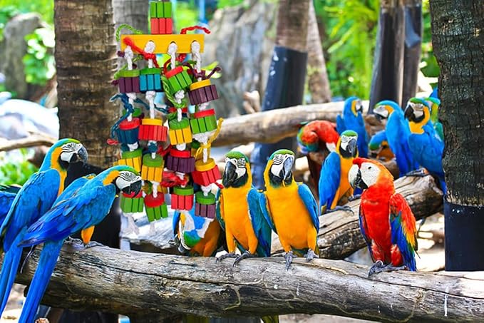 Large Bird Parrot Chewing Toys for Macaws, African Grey, Amazon Parrots, cokatoos (20 inch)