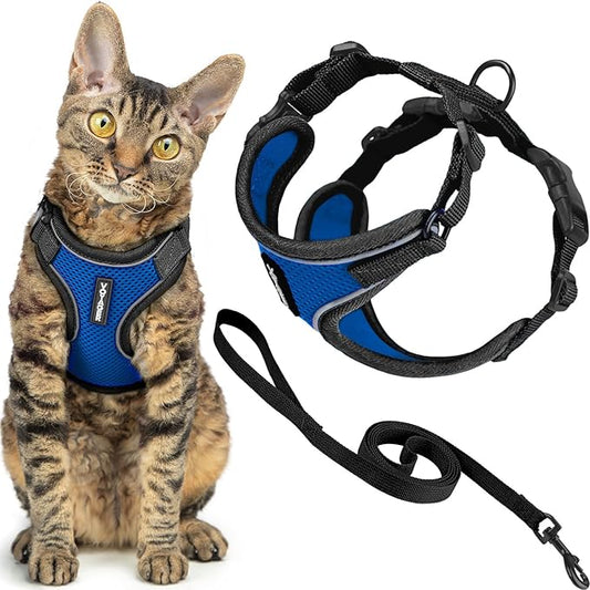 Voyager Escape Proof Cat Harness and Leash Set with Reflective Stitching, Neoprene Handle 5ft - Supports Small, Medium and Large Cats, Kittens for Walking by Best Pet Supplies - BT-Royal Blue, XS