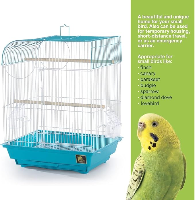 Rustic Retreat Top Bird Cage with Durable Metal Construction, Spacious Interior, and Convenient Top Access Teal/Flat Top
