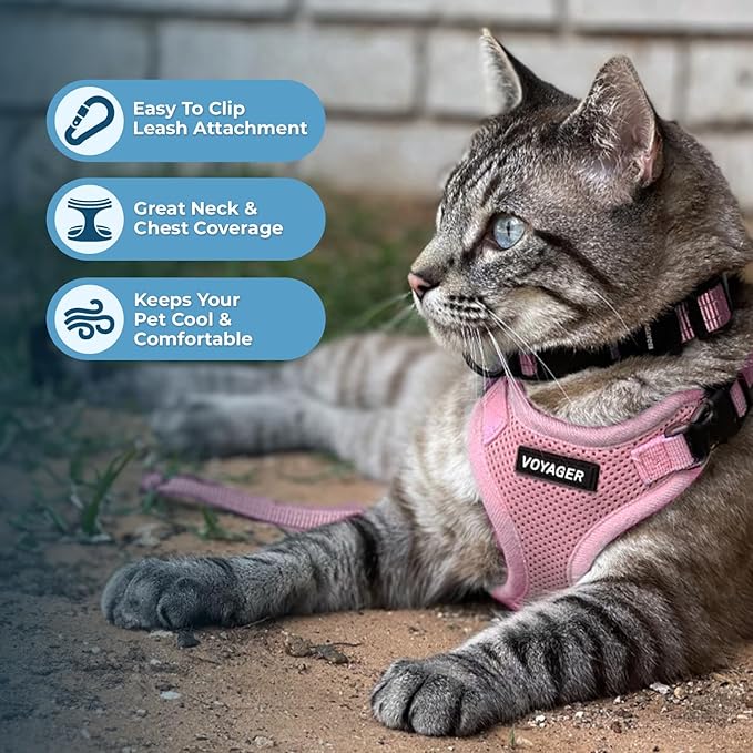 Voyager Step-in Lock Adjustable Cat Harness w. Cat Leash Combo Set with Neoprene Handle 5ft - Supports Small, Medium and Large Breed Cats by Best Pet Supplies - Pink, XXXS