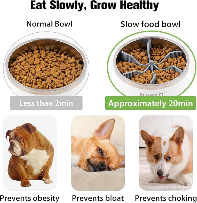 Raised Dog Bowl Stand with Slow Feeder Thick Stainless Steel Food Bowls for Large or Medium Sized Dogs Non-Slip Tilted Dog Feeder Station, Neck and Nose Protective Pet Bowl, 4 Cups (32 oz), White