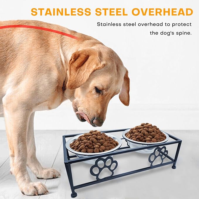 Elevated Dog & Cat Bowls with Stand – Raised Pet Feeder for Small Dogs & Cats, Stainless Steel Dog Food Bowls Elevated, Cat Food Bowl Stand, Elevated Cat Feeding Station (Black)