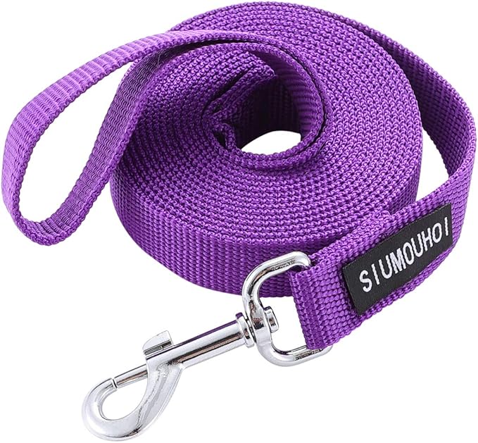 Strong Durable Nylon 10ft Long Dog Training Leash, Traction Rope, 1 Inch Wide, for Small and Medium Dog (Purple, 10 Feet)
