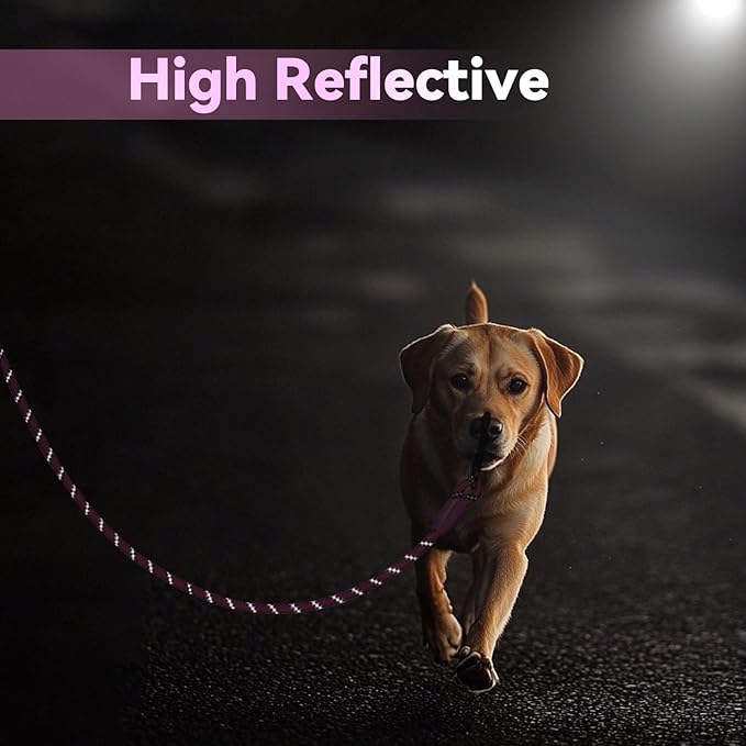 Nylon Dog Leash 6FT 10FT 20FT 30FT Diameter 2/5 Inch with Comfortable Silicone Handle Highly Reflective No Tangle for Medium Large Dogs Outside Walking Camping Backyard. (Pink, 6FT)