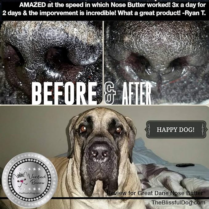 The Blissful Dog French Great Dane Nose Butter for Dry, Cracked Skin, Lick-Safe Dog Nose Balm with Moisturizing Shea Butter, Almond, Olive, and Essential Oils, Pet Supplies, Uncented, 0.50 oz.