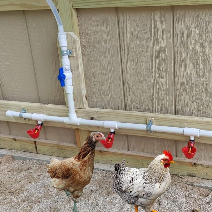Pack of 30 Chicken Waterer PVC Tee Fittings Waterer Fully Automatic Poultry Waterers PVC Fittings for Threaded Poultry Waterer Cups Nipples Feeders