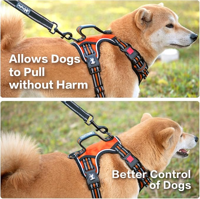 PoyPet No Pull Dog Harness, No Choke Front Clip Reflective Dog Vest with Soft Padded Vertical Handle, 3 Leash Attachments for Small Medium Large Dogs (Orange,S)